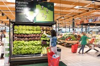 EROSKI incrementa un 8% las ventas de hortaliza del País Vasco