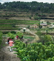 Otras experiencias: L'Olivera, una cooperativa en el mundo rural